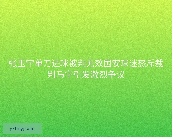张玉宁单刀进球被判无效国安球迷怒斥裁判马宁引发激烈争议