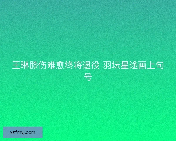 王琳膝伤难愈终将退役 羽坛星途画上句号